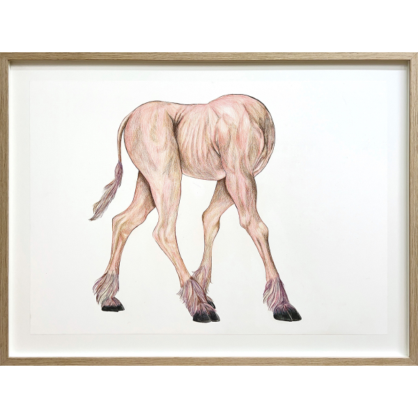 Laura Degn. Future Body, 2024. - Billede 2