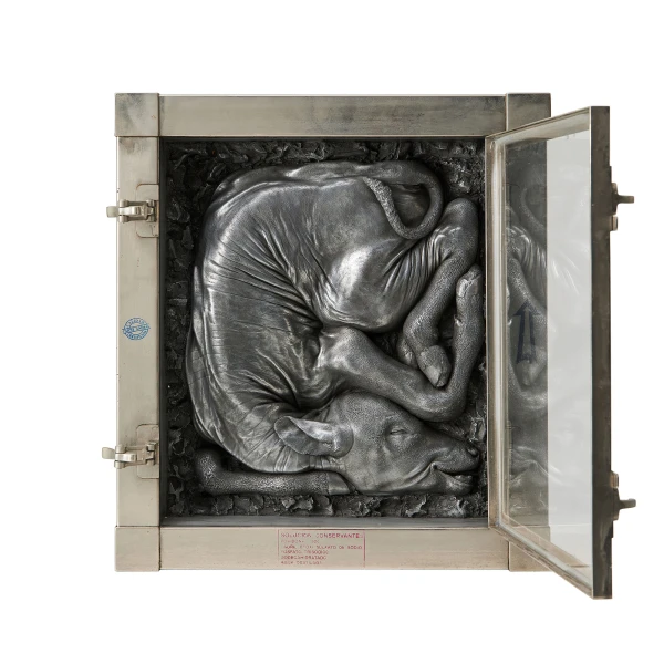 Nicola Costantino. Calf, 2005. - Billede 2
