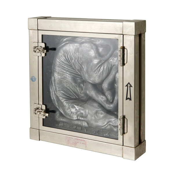 Nicola Costantino. Calf, 2005. - Billede 3
