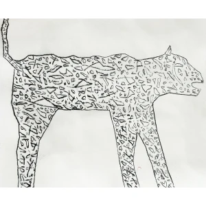 Dino Cama. Boahene, 2026.